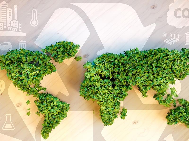 Renewable Feedstock Supply